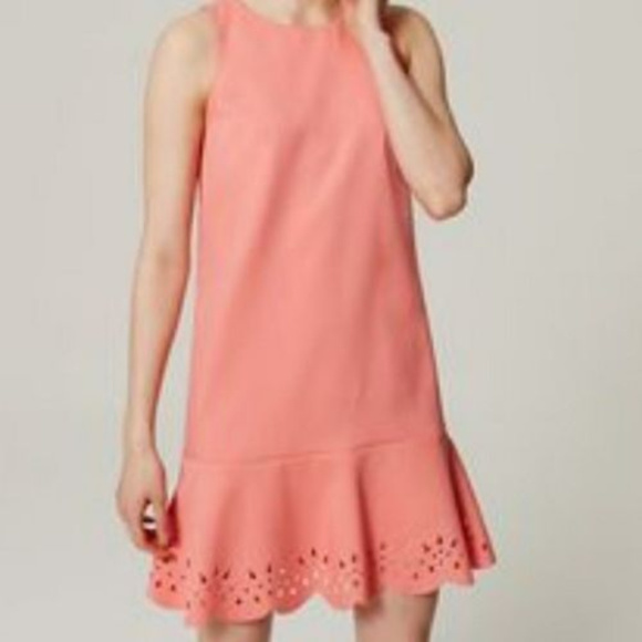 LOFT Dresses & Skirts - Ann Taylor LOFT L 10 12 P coral dress Scalloped